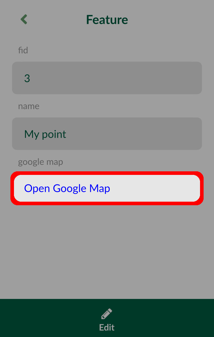 Open Google map from Mergin Maps Input