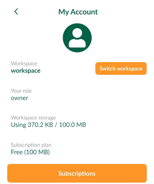 Switch workspace button in Mergin Maps Input