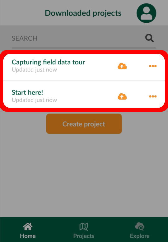 Mergin Maps mobile app Tour Projects