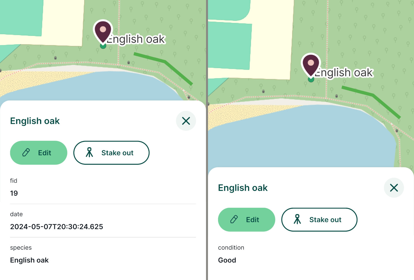 Feature preview panel in Mergin Maps mobile app