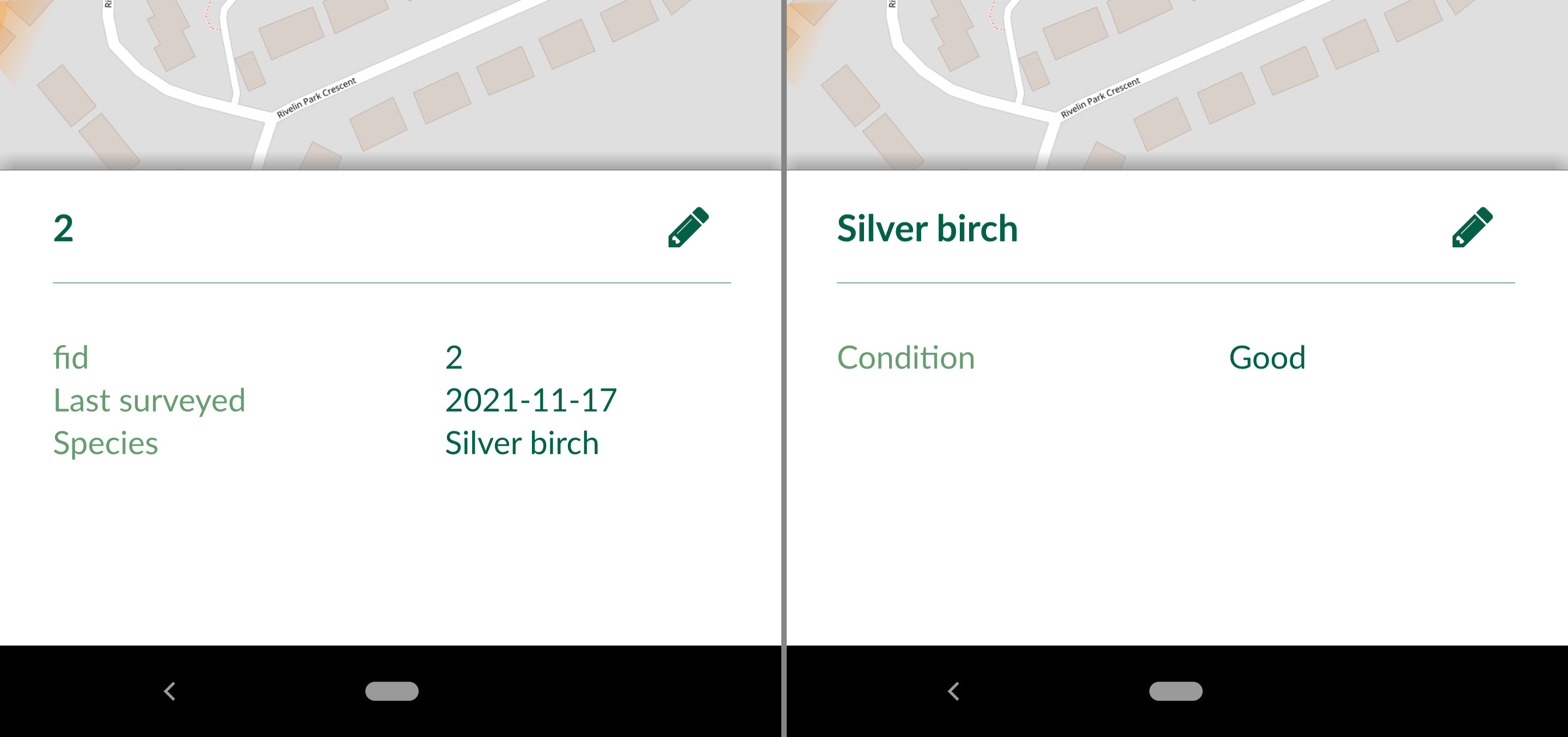 Feature preview panel in Mergin Maps mobile app