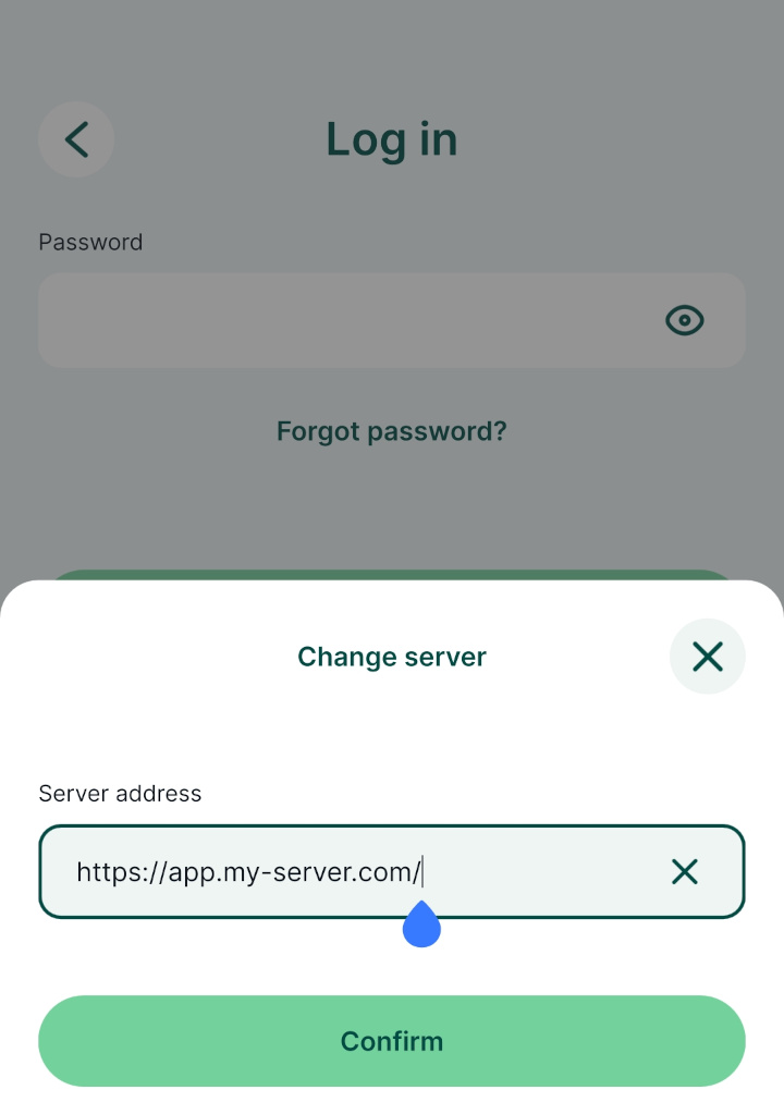 Changing server URL in Mergin Maps mobile app