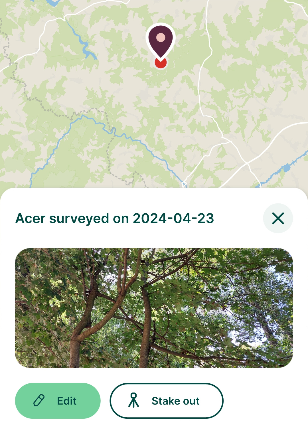 Preview panel in the mobile app based on Display settings in QGIS