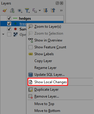 QGIS layer show local changes