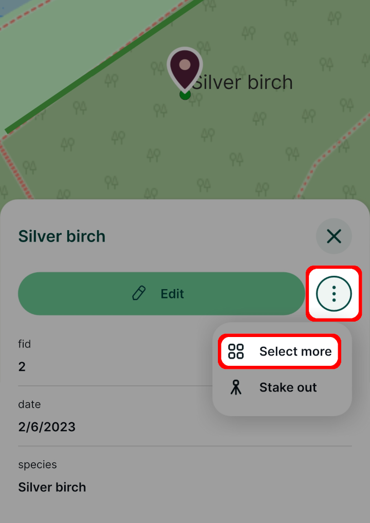 Select more features button in Mergin Maps mobile app