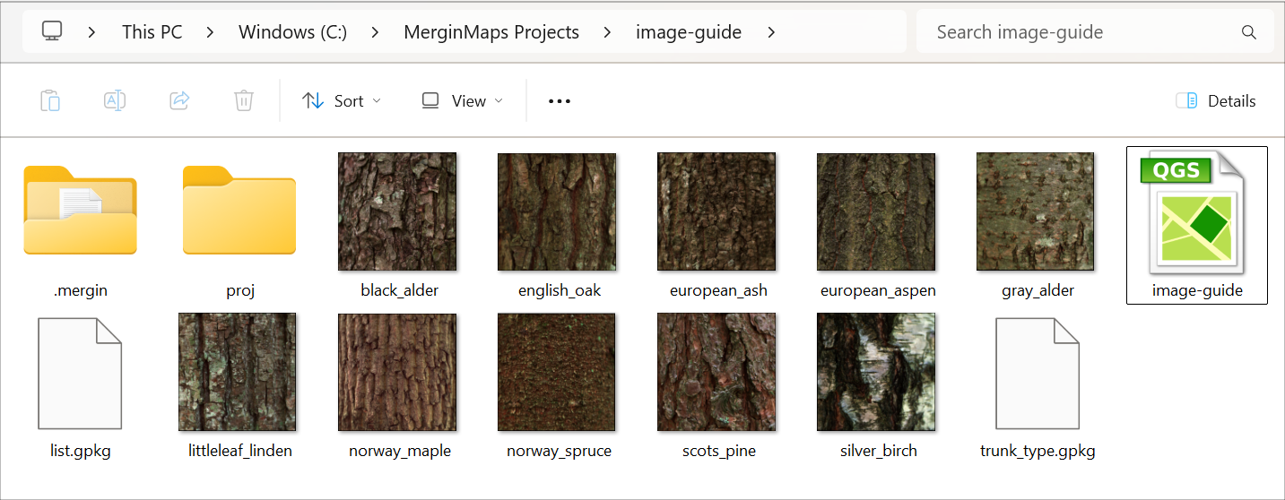 Mergin Maps project folder